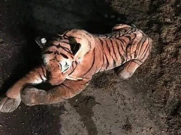 shotlandskiy-fermer-viklikav-politsiyu-dlya-poryatunku-vid-igrashkovogo-tigra