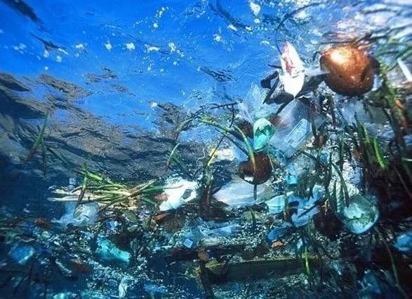 olimpiyskiy-chempion-poprosiv-uryad-velikobritaniyi-optimizuvati-zbir-plastiku