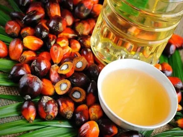 radikali-voyuyut-z-palmovoyu-oliyeyu