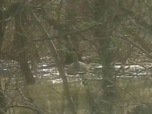 sche-odnu-donnu-minu-chasiv-pershoyi-svitovoyi-viyni-viyavili-na-odeschini