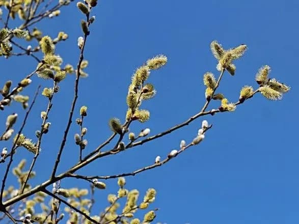 sogodni-v-ukrayini-ochikuyetsya-tepla-pogoda-12