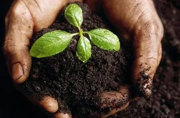 z-pochatku-roku-derzhavi-povernuto-zemli-na-1-4-mlrd-griven