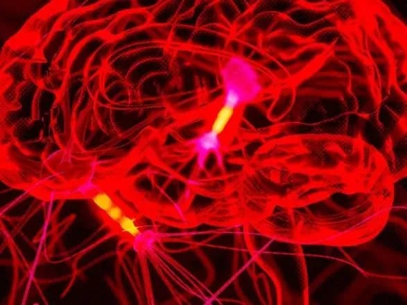 vcheni-khochut-zrozumiti-movu-mozku-dlya-borotbi-z-khronichnimi-khvorobami