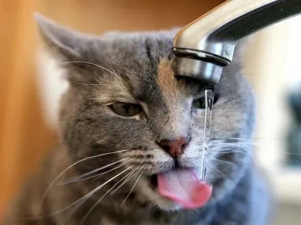 u-kiyevi-zavtra-chastkovo-vidklyuchat-kholodne-vodopostachannya