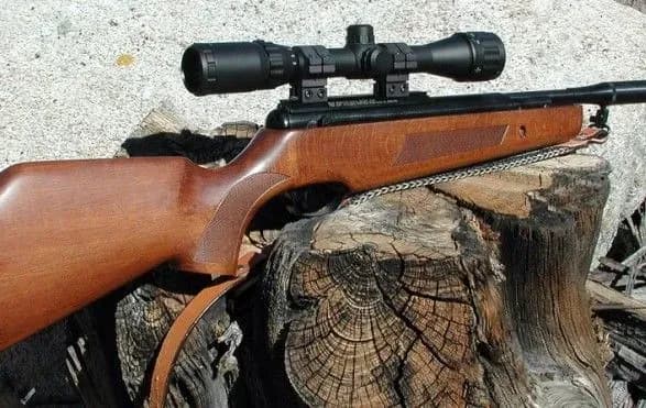 na-lvivschini-pidlitok-z-gvintivki-poraniv-svoyu-molodshu-sestru