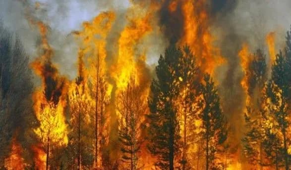 v-ukrayini-ochikuyetsya-nadzvichayniy-riven-pozhezhnoyi-nebezpeki-1