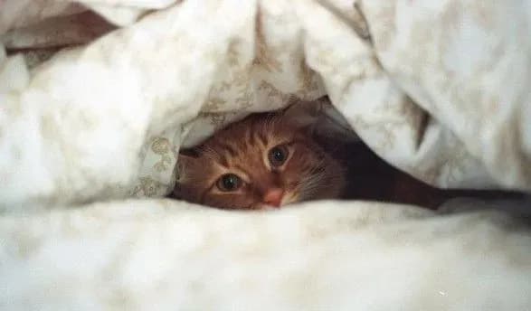 sogodni-v-ukrayini-ochikuyetsya-pokholodannya-12