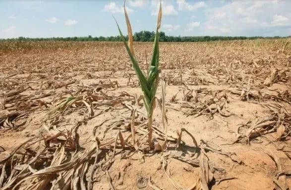 v-ukrgidromettsentri-rozpovili-v-yakikh-regionakh-sposterigayetsya-zasukha