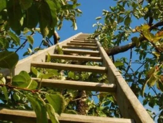 na-volini-cherez-padinnya-z-drabini-pomer-malenkiy-khlopchik