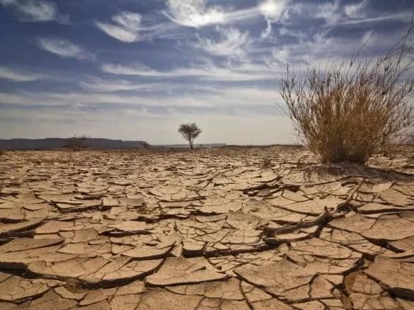 posukha-v-okupovanomu-krimu-okhopila-dva-novikh-rayoni