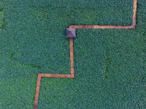 u-kitayi-rozpustilisya-tisyachi-lotosiv