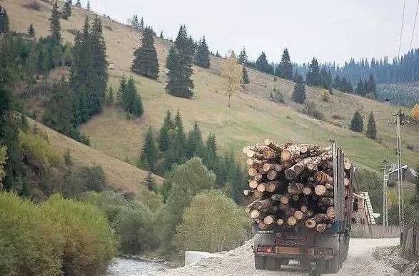 na-zakarpatti-golovniy-lisnichiy-pogoriv-na-khabari