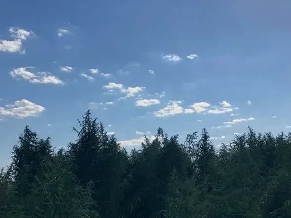 politseyski-zavdyaki-dronu-znayshli-na-kiyivschini-plantatsiyu-konopel