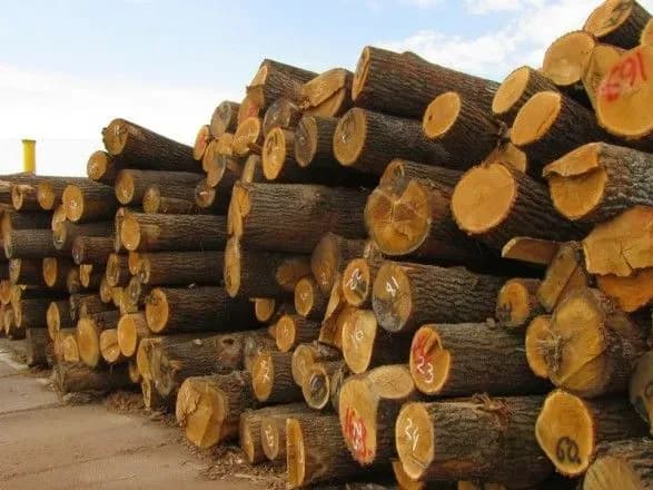 mosiychuk-zayaviv-scho-u-nabu-yomu-vidmovili-u-rozsliduvanni-kontrabandi-lisu