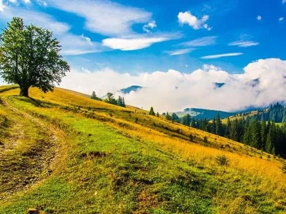 u-karpatakh-vidshukali-dvokh-chekhiv-yaki-zablukali-u-gorakh