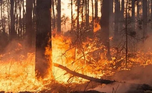 shtormove-poperedzhennya-ekstremalni-umovi-trivatimut-do-nedili