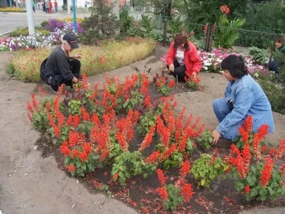 za-sim-misyatsiv-142-tisyachi-bezrobitnikh-popratsyuvali-na-gromadskikh-robotakh