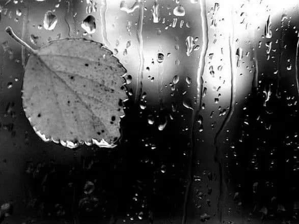 sogodni-u-skhidnikh-regionakh-ukrayini-ochikuyutsya-doschi