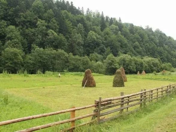 derzhava-otrimala-25-ga-zemli-u-spadschinu-vid-pomerlikh-ukrayintsiv