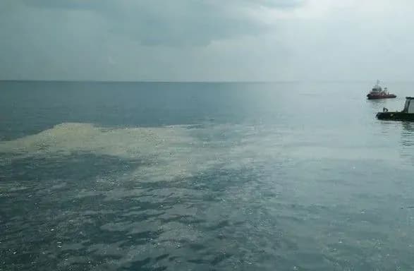 indoneziyski-ryatuvalniki-ne-spodivayutsya-znayti-zhivikh-pislya-aviakatastrofi-lion-air