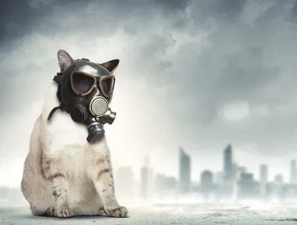 vcheni-nazvali-mistsya-z-naybilsh-zabrudnenim-povitryam-u-kiyevi