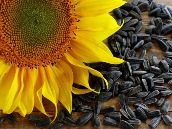 reyderstvo-kharkivskikh-zemel-vidbulosya-za-spriyannya-mistsevogo-suddi-zmi