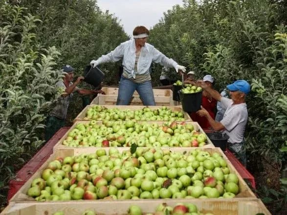mayzhe-230-sadivnikiv-ukrayini-pretenduyut-na-derzhdotatsiyi