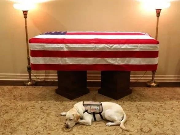 labrador-busha-starshogo-suprovodzhuvatime-grob-z-tekhasu-do-vashingtonu