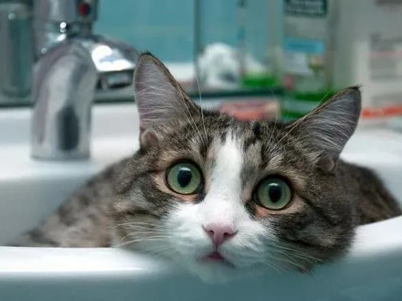 u-kiyevi-desyatki-budinkiv-lishilisya-bez-vodi