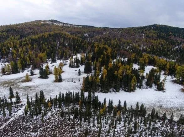 tririchniy-khlopchik-samostiyno-viyshov-z-taygi-pislya-zagibeli-batka