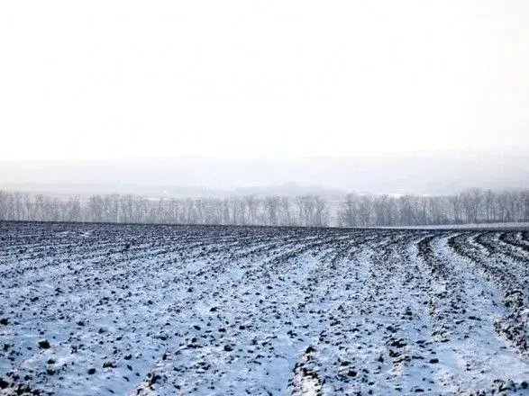 nizki-temperaturi-ne-stanovlyat-zagrozi-ozimim-zernovim