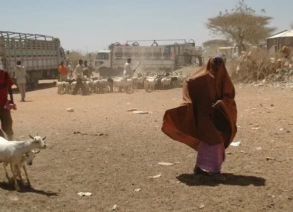 oon-zbiraye-milyard-dolariv-dlya-dopomogi-postrazhdalim-vid-kataklizmiv