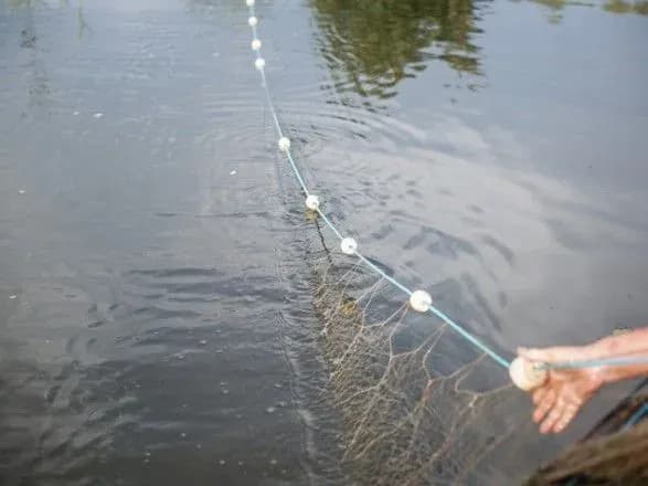 ekoinspektor-organizuvav-brakonyerskiy-vilov-ribi-u-velikikh-obsyagakh