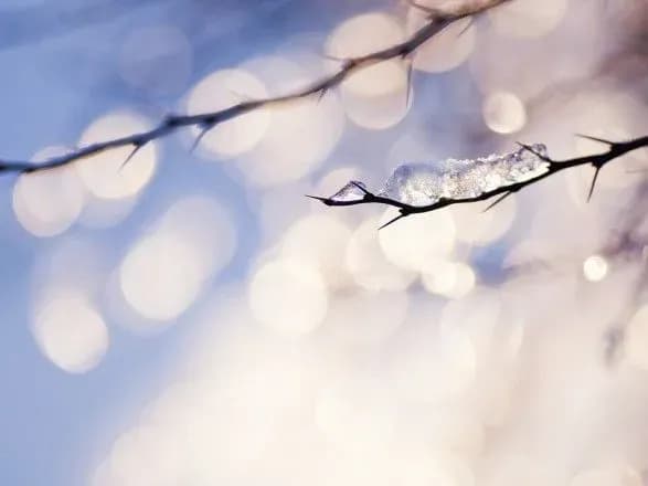 lyutiy-u-stolitsi-uviyshov-u-top-10-nayteplishikh