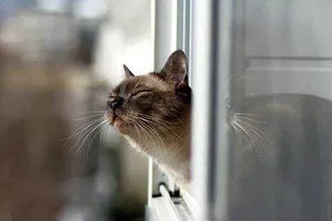 v-ukrayini-perestaye-doschiti-sinoptiki