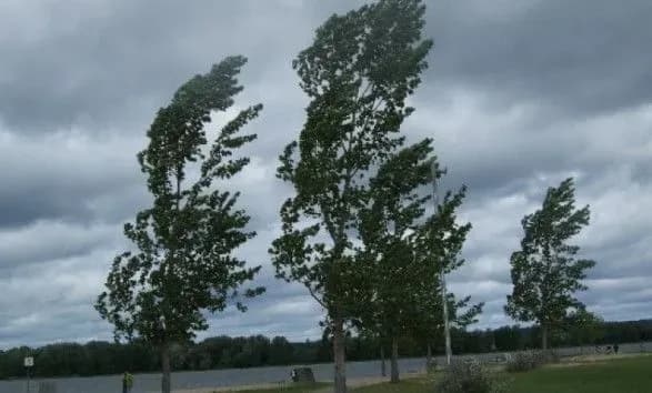 silniy-viter-poshkodiv-dakh-magazinu-u-dnipropetrovskiy-oblasti