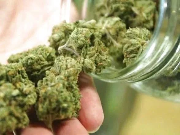 petitsiya-schodo-legalizatsiyi-medichnogo-kanabisu-v-ukrayini-nabrala-neobkhidni-25-tis-pidpisiv