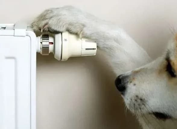 stalo-vidomo-koli-u-kiyevi-zavershitsya-opalyuvalniy-sezon