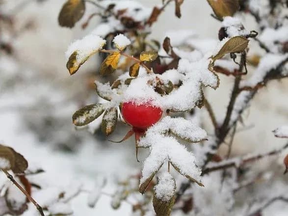 v-ukrayinu-zavtra-povernutsya-morozi