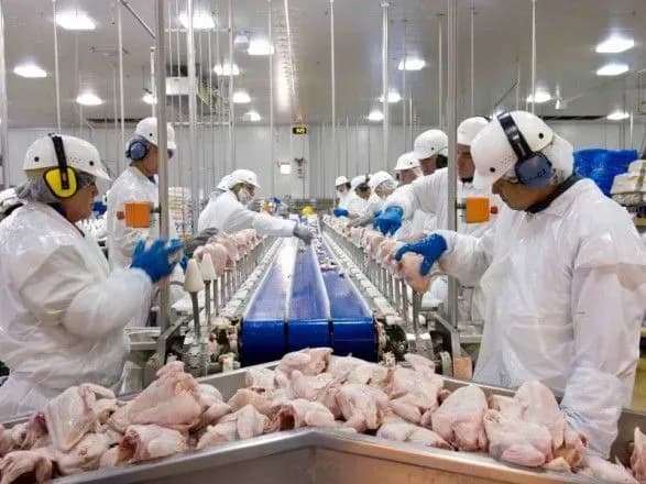tyson-foods-vidklikaye-gigantsku-partiyu-kuryachoyi-produktsiyi