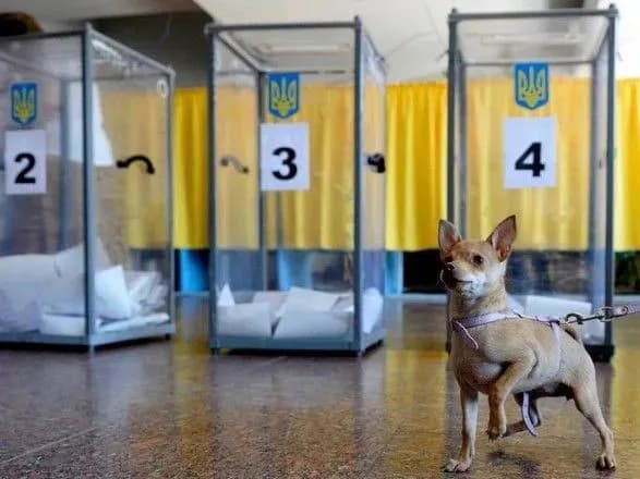 vibori-2019-politsiya-zareyestruvala-vzhe-950-zayav-vidkrila-12-provadzhen