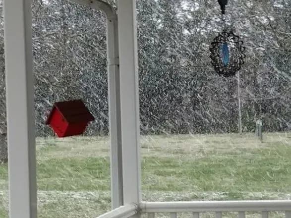 na-skhodi-ssha-vpershe-za-37-rokiv-vipav-snig