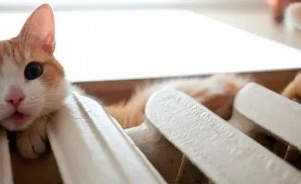 u-cherkasakh-8-kvitnya-zvershitsya-opalyuvalniy-sezon