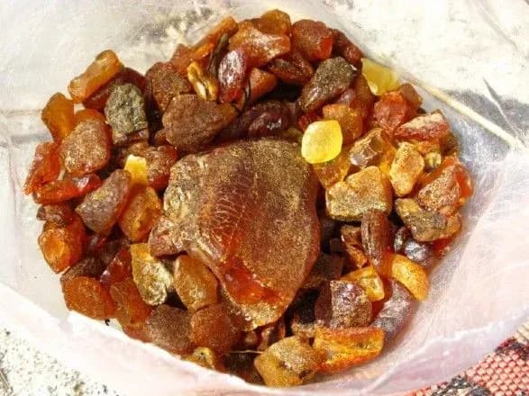 ukrayinets-namagavsya-vivezti-do-polschi-25-kg-burshtinu-1