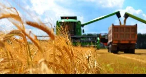 ukrayinski-agrariyi-zabezpecheni-dobrivami-na-100-minagropolitiki