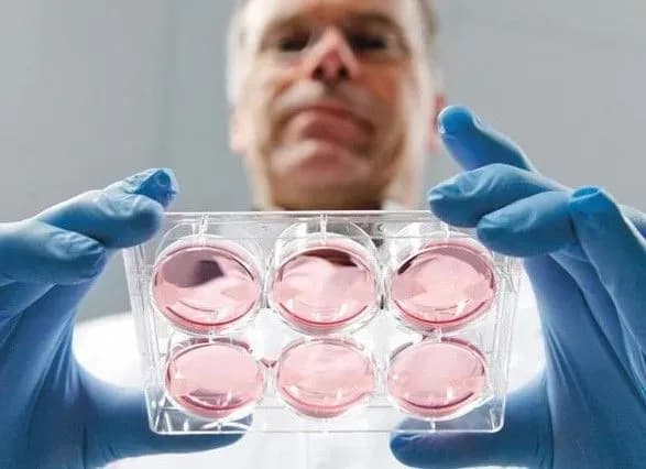 u-niderlandakh-likar-kliniki-zi-shtuchnogo-zaplidnennya-viyavivsya-batkom-49-ditey