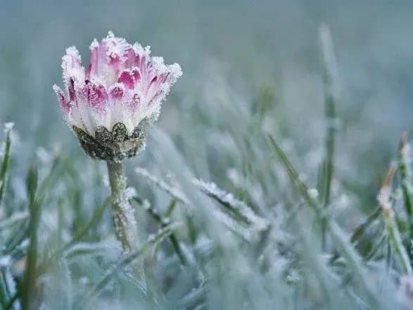 ukrayintsiv-poperedili-pro-zamorozki-v-niztsi-oblastey-1