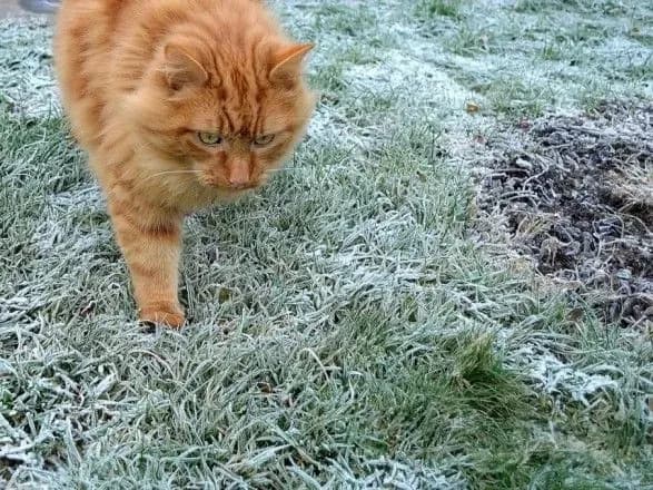 ukrayintsiv-poperedili-pro-zamorozki-7