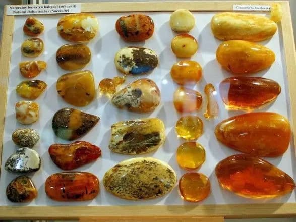 u-minulomu-rotsi-mitnitsya-viluchila-blizko-6-tisyach-kg-burshtinu