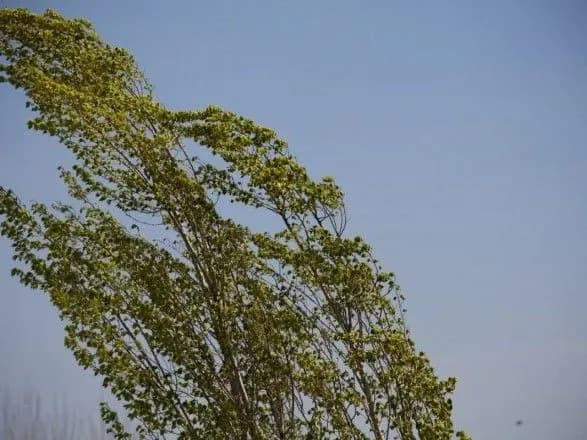 na-kiyivschini-ogolosili-shtormove-poperedzhennya-7